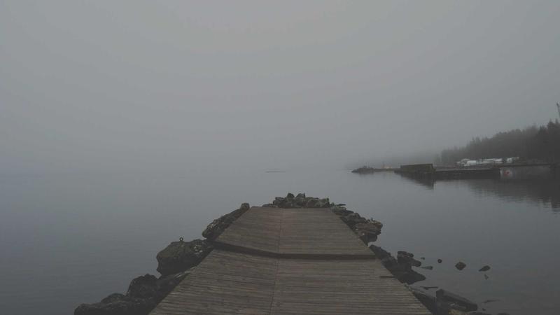 鲍鱼网站精选干鲍与鲜鲍展示，鲍藏深海，鲜香万家